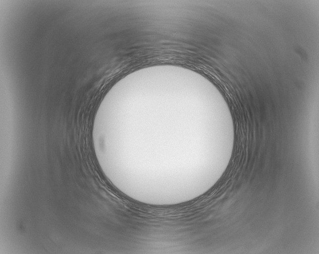 X0000116310617200911301037