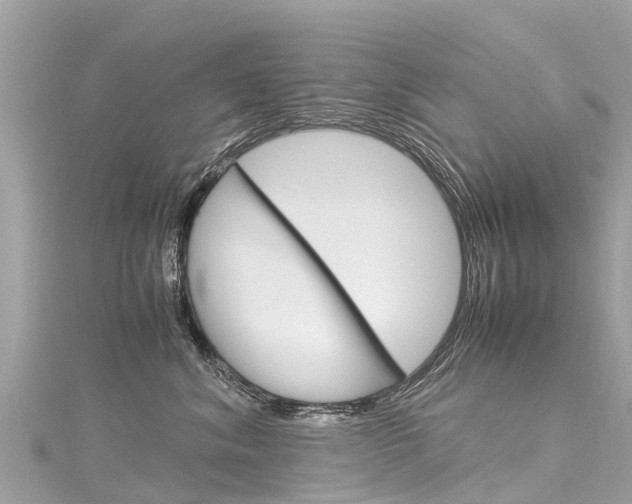 X0000116310620200911301037