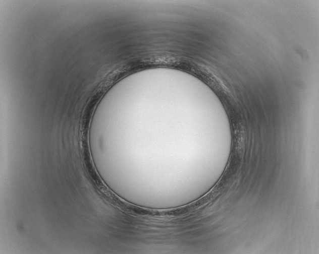 X0000116310643200911301036
