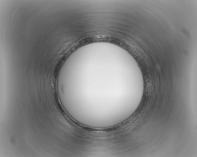 X0000116310654200911301036