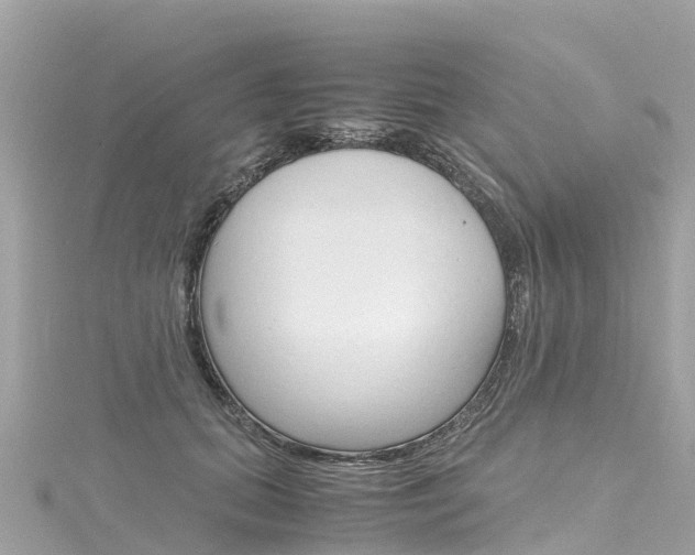 X0000116310655200911301036