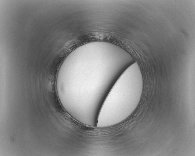 X0000116310656200911301036