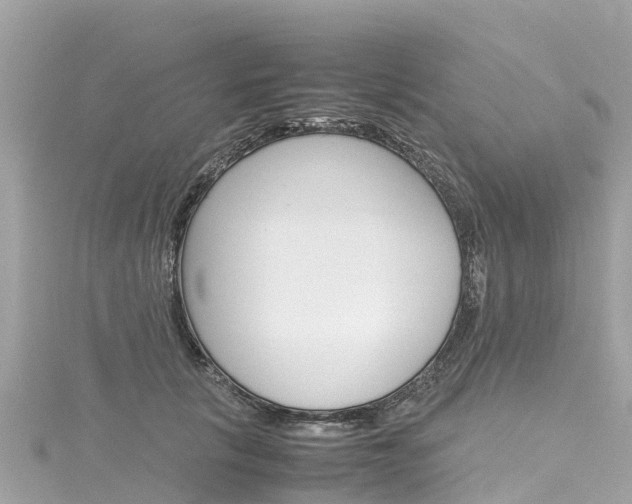 X0000116310657200911301036