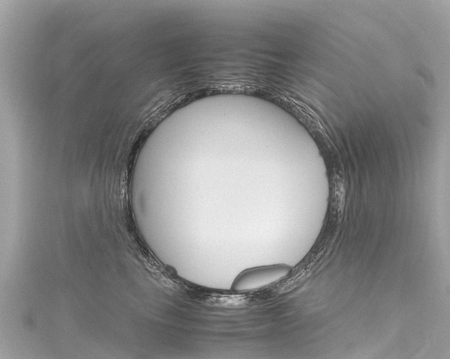 X0000116310665200911301037