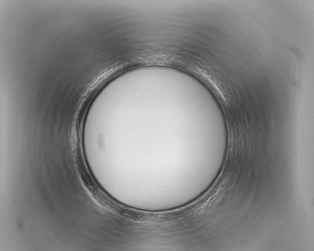 X0000116310674200911301036