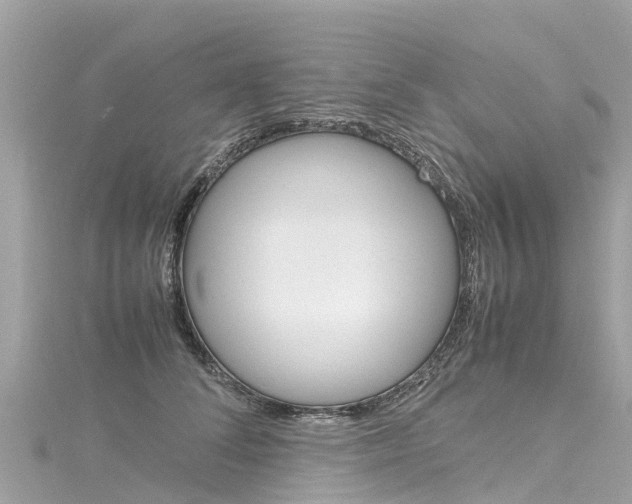 X0000116310708200911301036