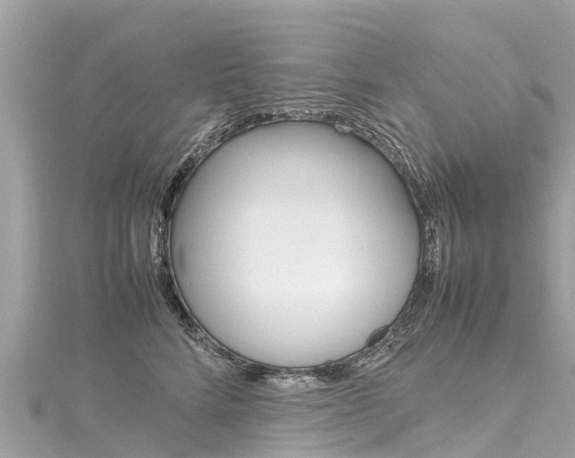 X0000116310712200911301035