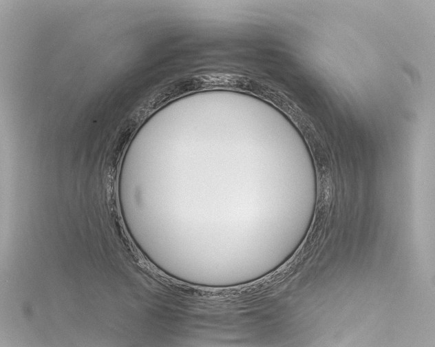 X0000116310737200911301035