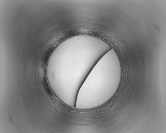 X0000116310746200911301035