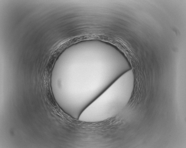 X0000116310773200911301034