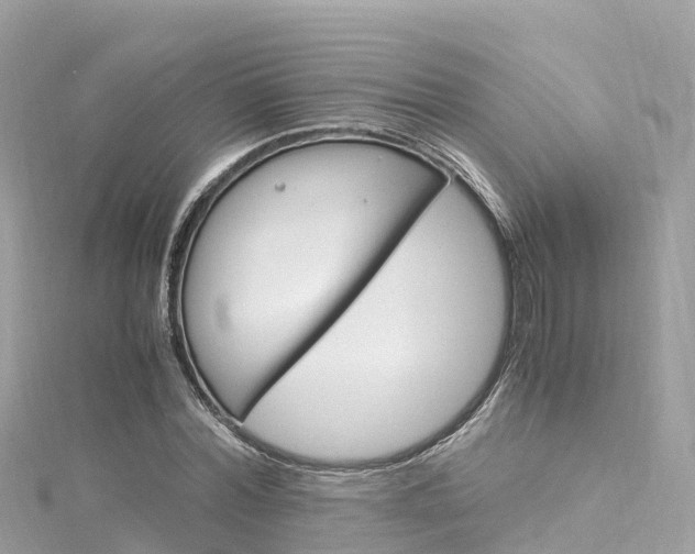X0000116310780200911301034