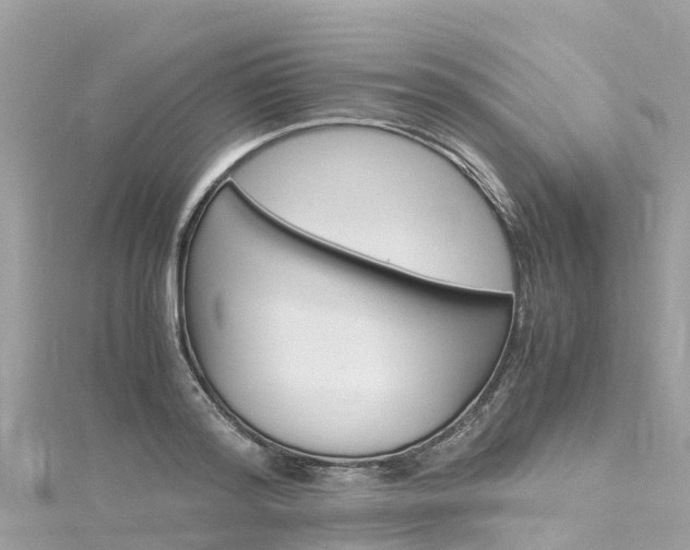 X0000116310796200911301034