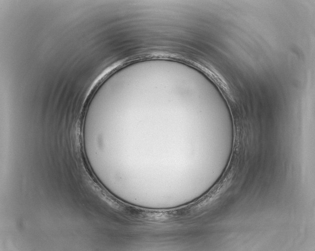 X0000116310798200911301034