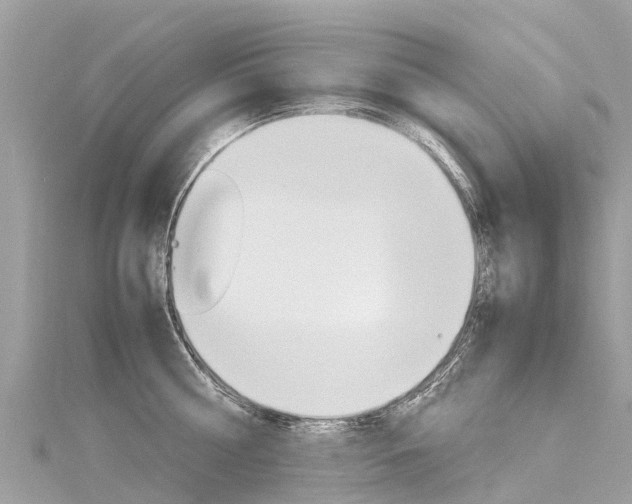 X0000116310810200911301034