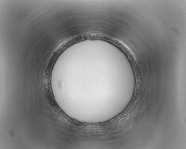 X0000116310823200911301033