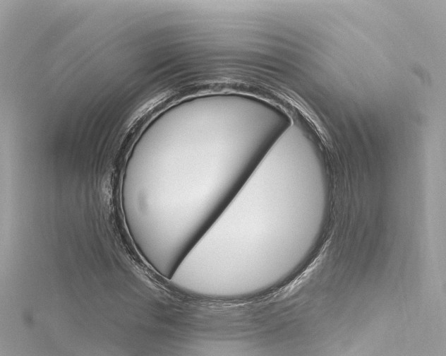 X0000116310826200911301033