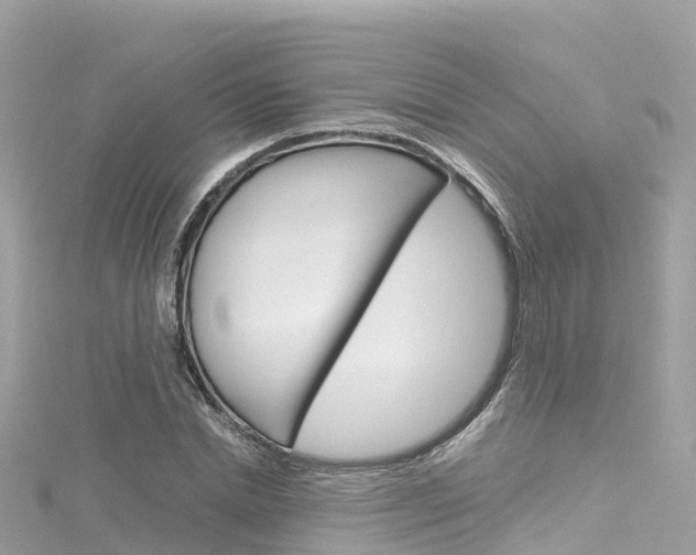 X0000116310830200911301033