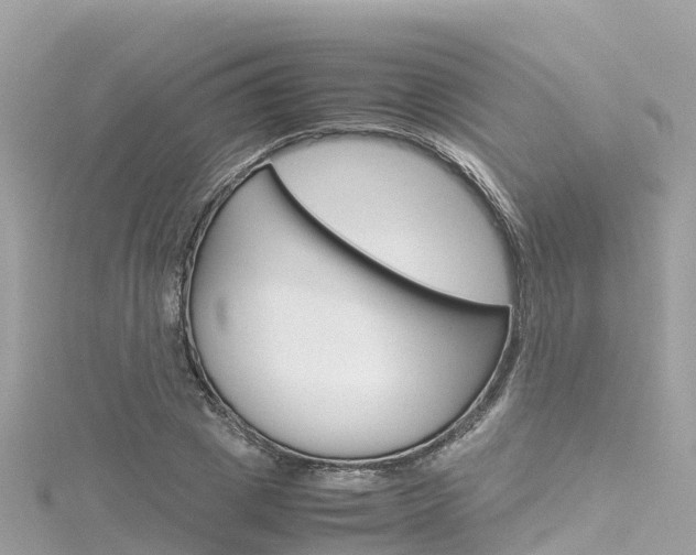 X0000116310833200911301033