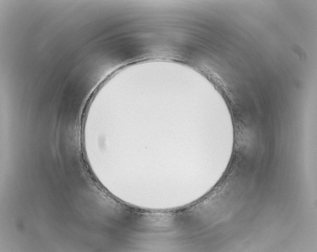 X0000116310836200911301033