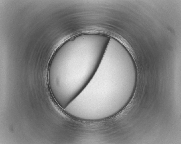 X0000116310850200911301033