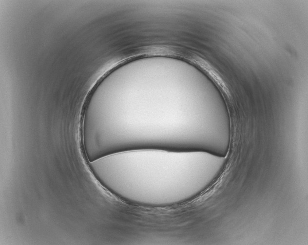 X0000116310853200911301033