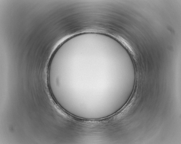 X0000116310854200911301033