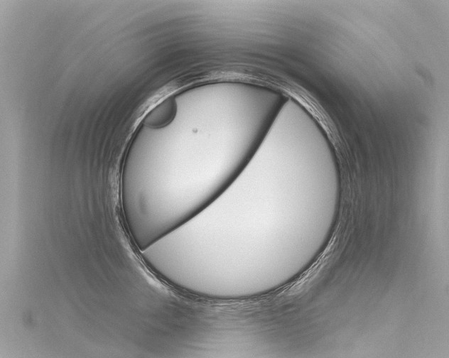 X0000116310858200911301034