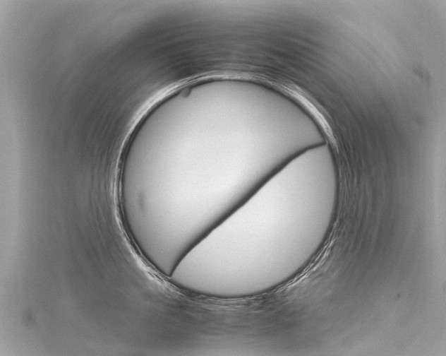X0000116310861200911301034
