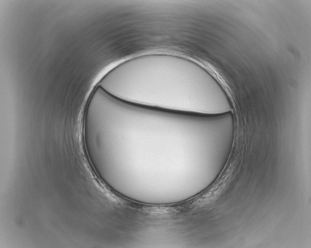 X0000116310862200911301034