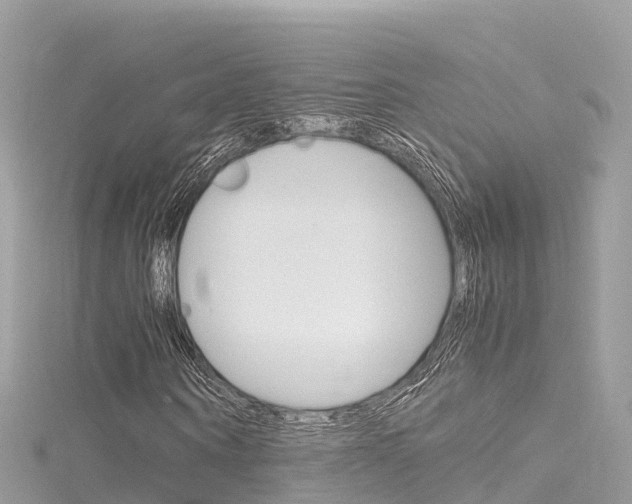 X0000116310866200911301033