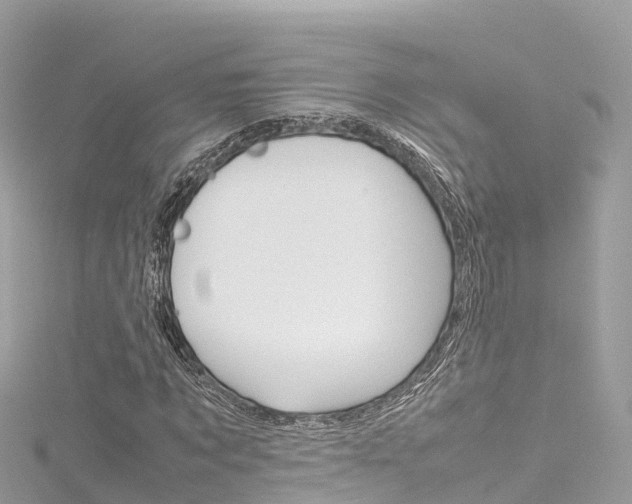 X0000116310869200911301033