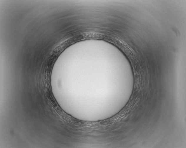 X0000116310870200911301033