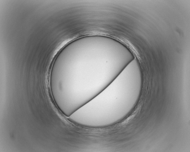 X0000116310893200911301033