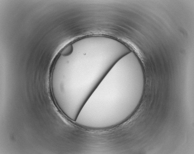 X0000116310894200911301033