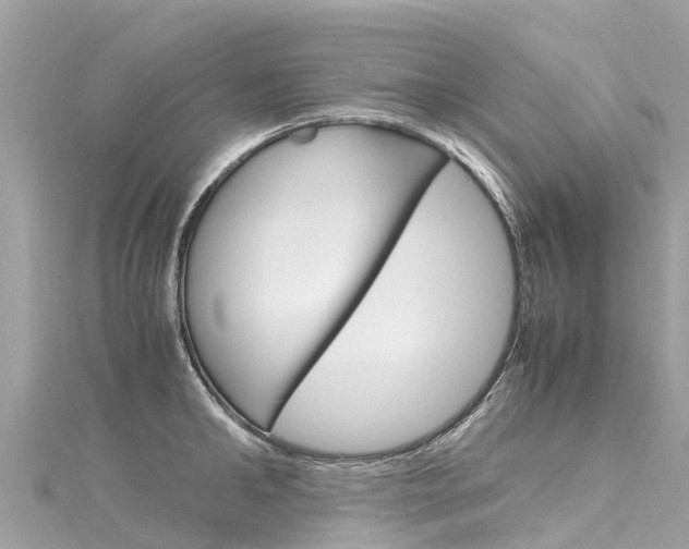 X0000116310902200911301033
