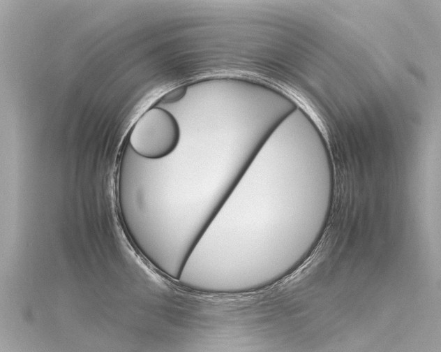 X0000116310906200911301032
