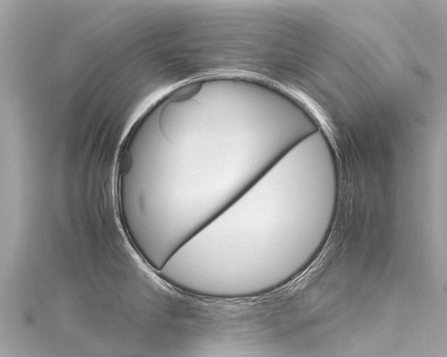 X0000116310910200911301032