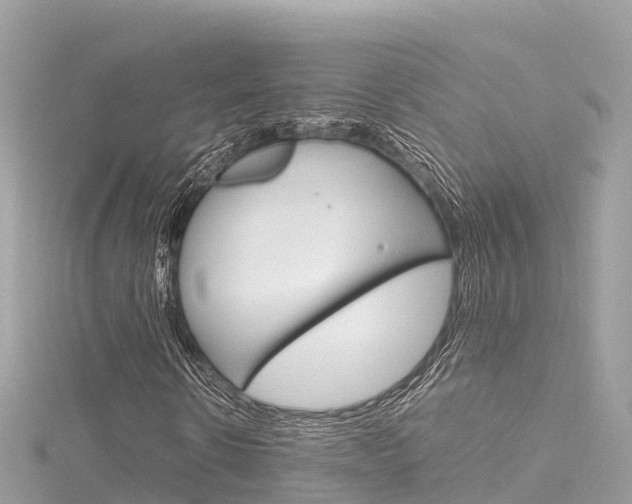 X0000116310914200911301032