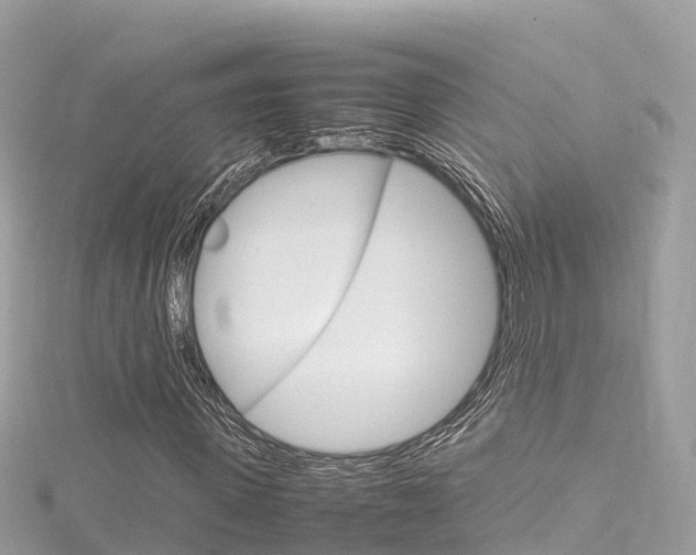 X0000116310915200911301032