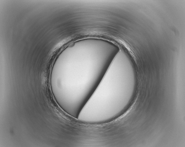 X0000116310922200911301032