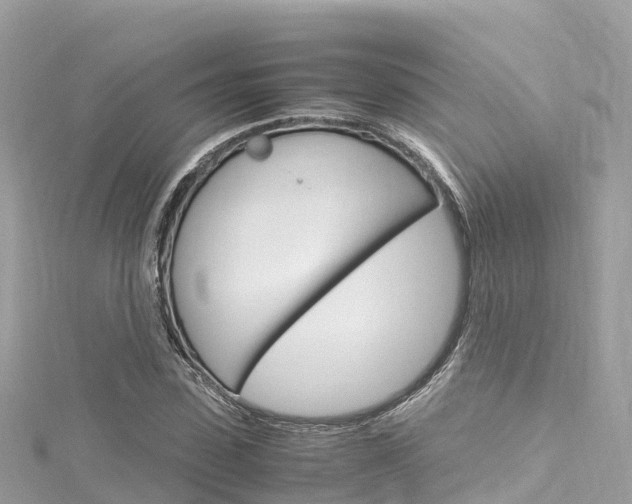 X0000116310923200911301032