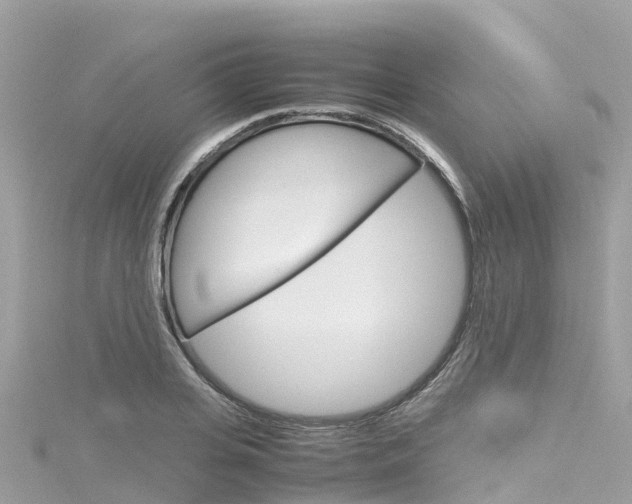X0000116310935200911301032