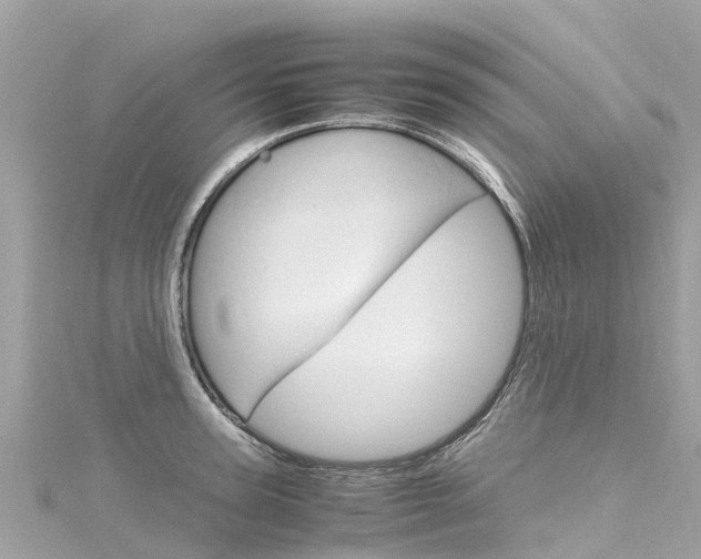 X0000116310947200911301032