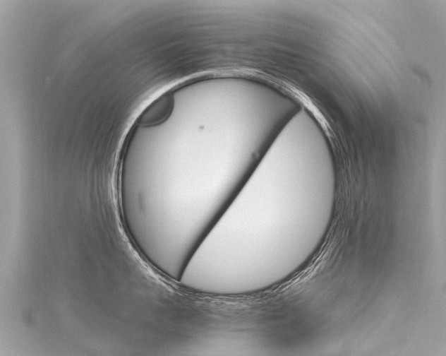 X0000116310959200911301032