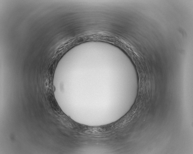 X0000116310966200911301032