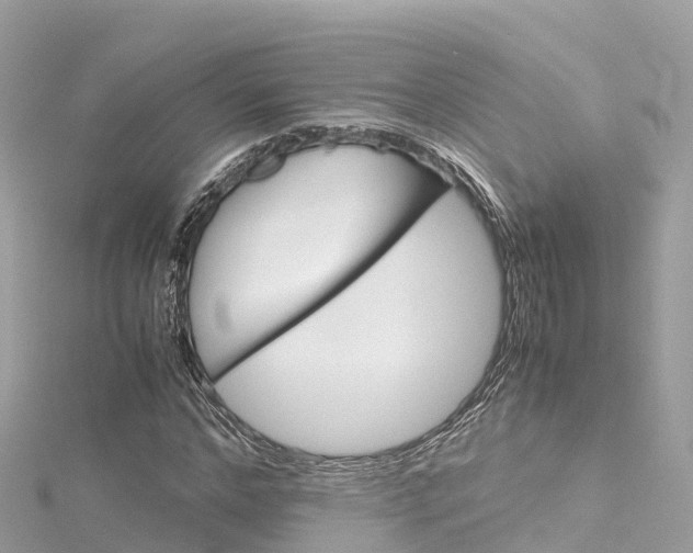 X0000116310968200911301032