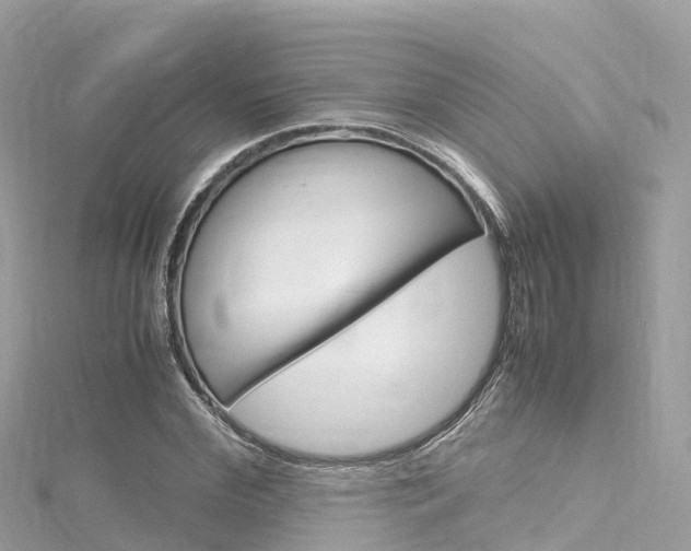 X0000116310972200911301032