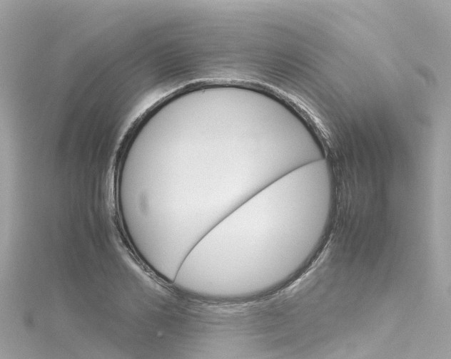 X0000116310982200911301031