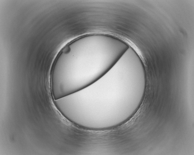 X0000116310996200911301031