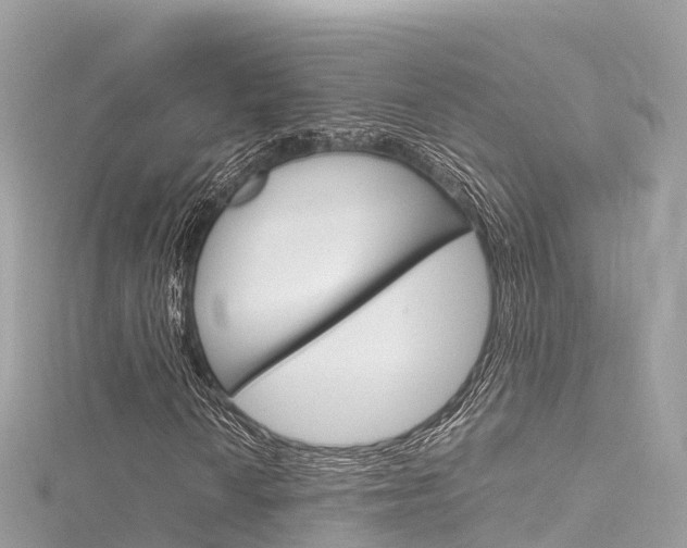 X0000116311010200911301031